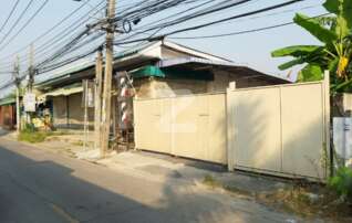 ขายบ้านเดี่ยว ซอยพุทธมณฑลสาย3ซอย13 ถนนพุทธมณฑลสาย3 : เจ้าของขายเอง (งดรับนายหน้า)